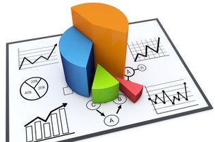 市场调研 企业成功开发的导航仪