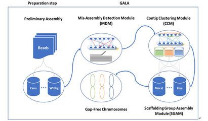 前沿 | 农学院甘祥超教授团队发布端粒到端粒无缺失染色体组装技术新路线